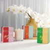 Ecoya Candle Monty 90G Fresh Pine
