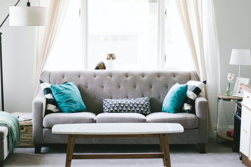 Grey sofa in living room, with coffee table and two blue scatter cushions.