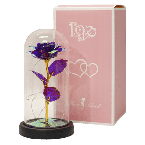 Rose Dome Foil Light Up Rainbow 20cm