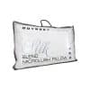 Odyssey Feather Pillow 2pk