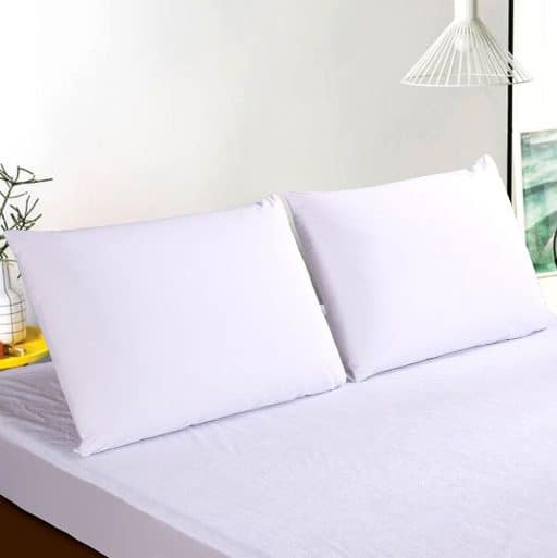 Casa Rosso Prime Pillow Protector 2pk 48x74cm - Image 2