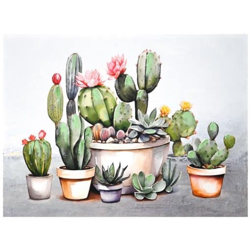 Canvas Oil Cacti 60x80cm