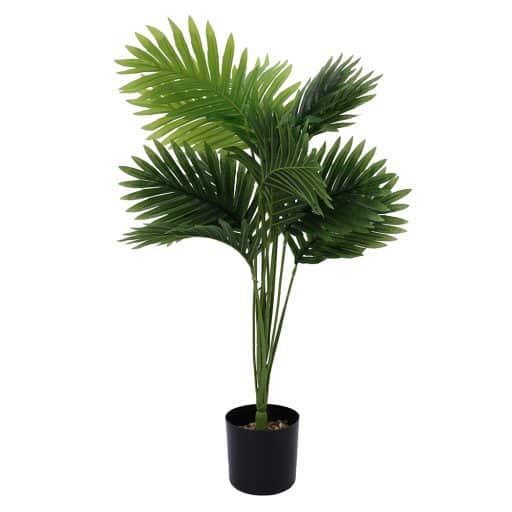 Potted Plant Palm Areca 67cm
